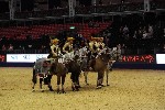 Quadrille - 00711